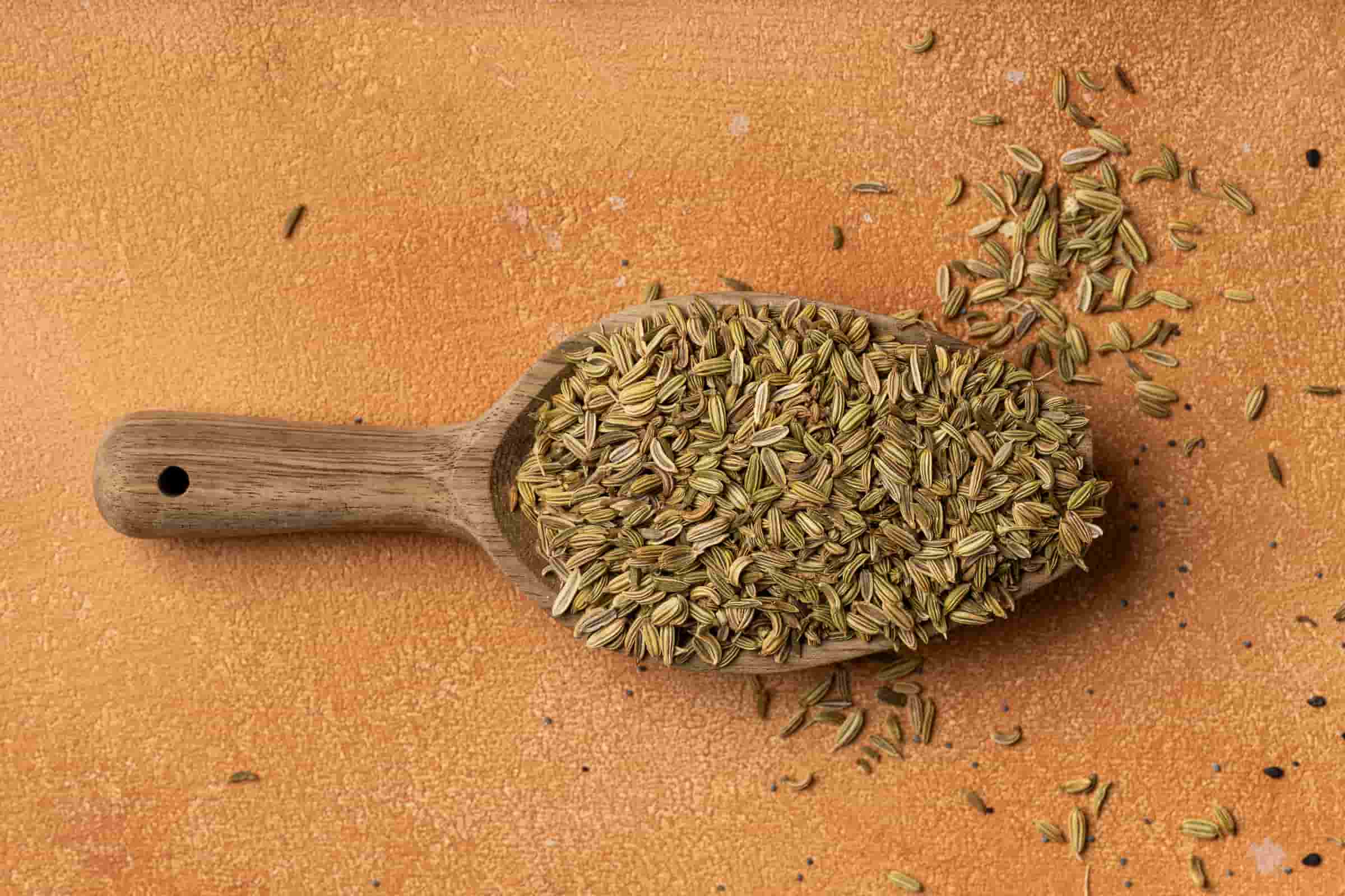 organic fennel seeds